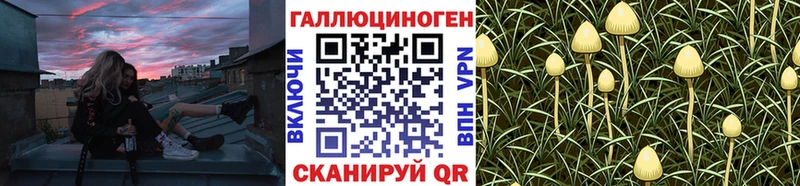 мега вход  Цоци-Юрт  Галлюциногенные грибы GOLDEN TEACHER  как найти закладки 